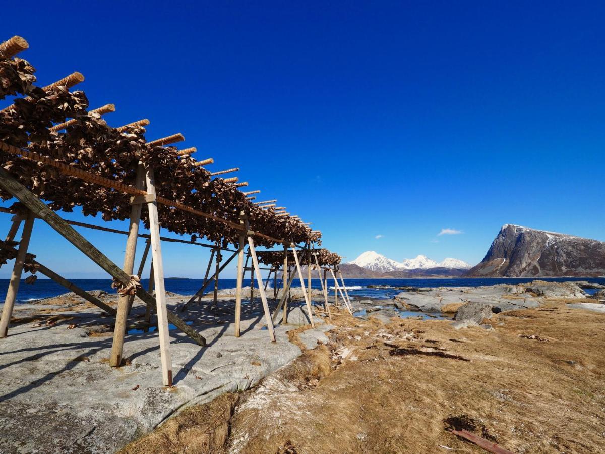 Vestfjorden Panorama Lofoten Villa Valberg Exterior photo